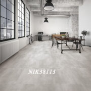 NIK38113